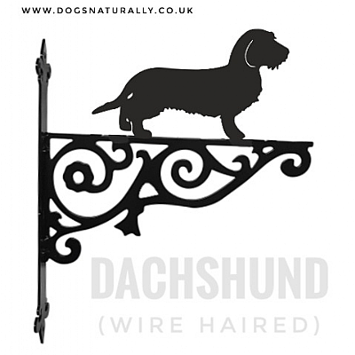 Dachshund Ornate Wall Bracket (Wirehaired)